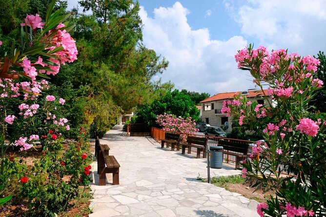 100% Cyprus - Tour to Troodos mountains and villages (From Paphos) - Key things I’d watch for before you go