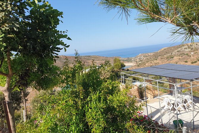 2-Hour Botanic Garden Tour in Akoursos - Price and pacing: why $12.01 feels fair for what you get