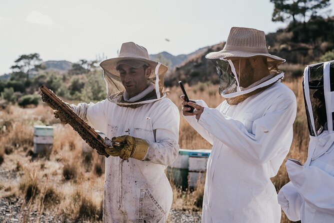 30-Minute Guided Honey Tasting Activity in Melini - Key highlights