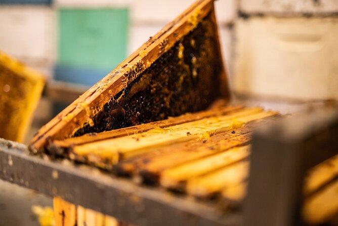 30-Minute Guided Honey Tasting Activity in Melini - Meet the guide and get oriented in the first minutes