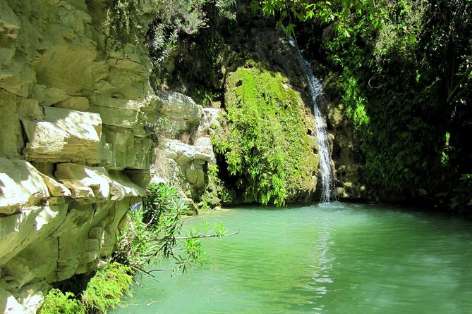 4 hour Quad & Buggy Safari Akamas(lara Bay) & Adonis Falls - Peyia meeting point and pickup options that actually affect your day