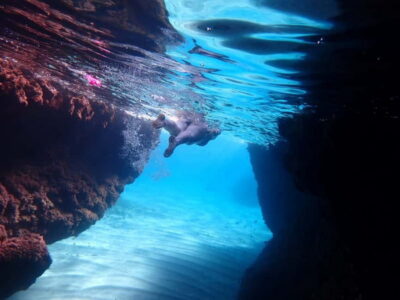 5-hour Cape Greco Caves kayaking + Snorkelling trip