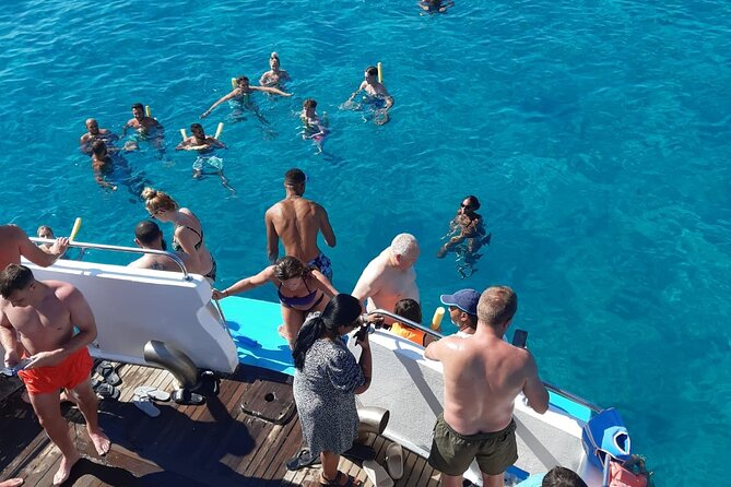 90-Minutes Glass Bottom Trip With Quick Dip - A Short Boat Trip That Hits Shipwrecks and Sea Life in Paphos