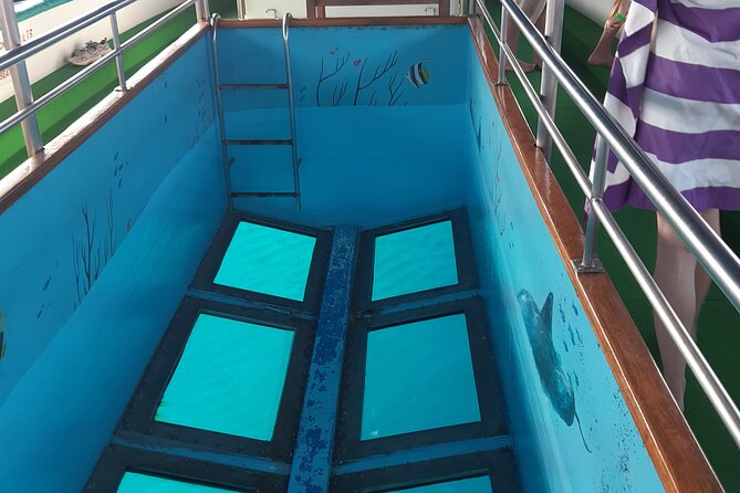 90-Minutes Glass Bottom Trip With Quick Dip - Why This 90-Minute Paphos Tour Costs So Little (and Still Feels Complete)