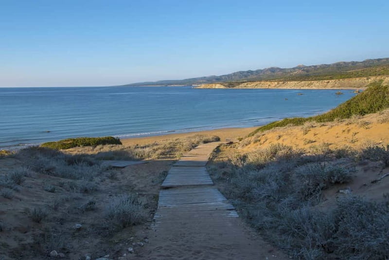 Akamas Jeep Safari Tour from Paphos - Lara Bay and the Turtle Conservation Project: why season matters more than luck