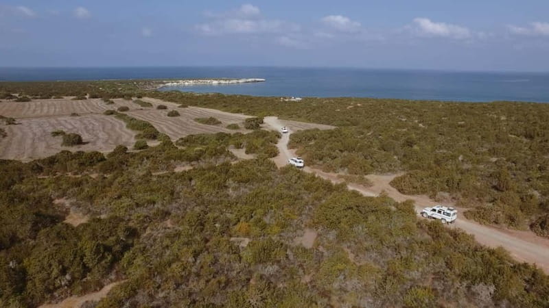 Akamas Jeep Safari Tour from Paphos - Avakas Gorge walk: the limestone tunnel moment (and the part you should prepare for)