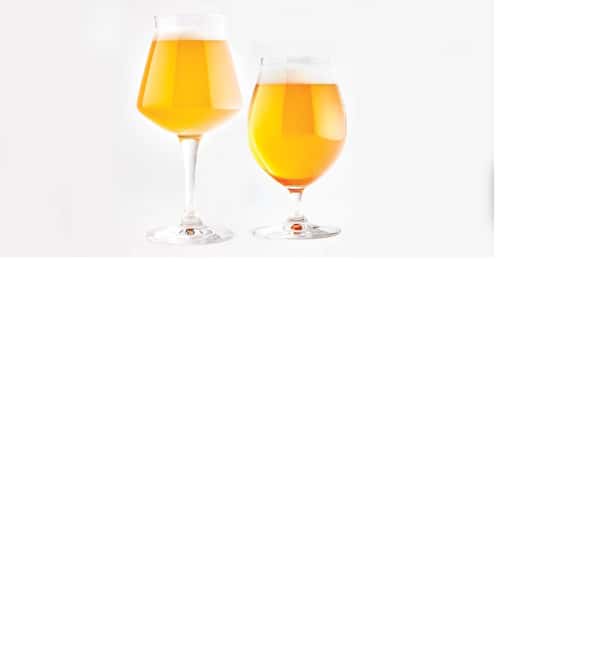 AMMOCHOSTOS VIP -Craft Brewery Tasting & Cypriot Food Trip - The small-group VIP feel: why the Range Rover and 2 to 4 guests matter