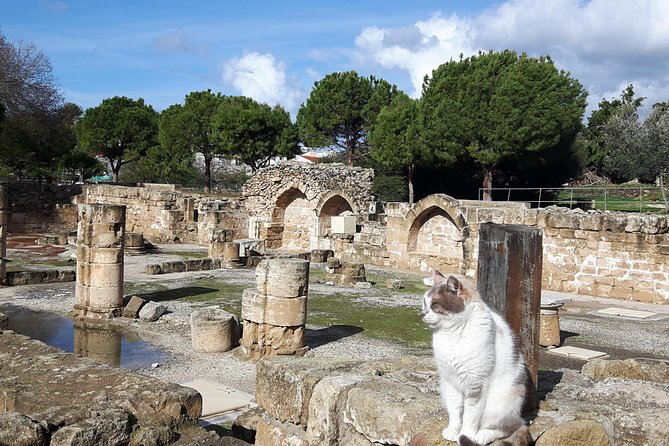 Ancient City Of PAPHOS - Key things to know before you go