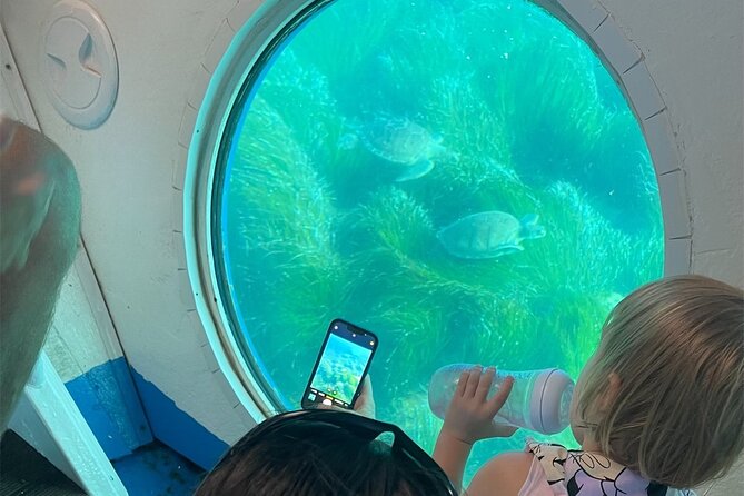 Atlantis Turtle Watching Cruise & Snorkelling Adventure - Key Highlights You Should Know