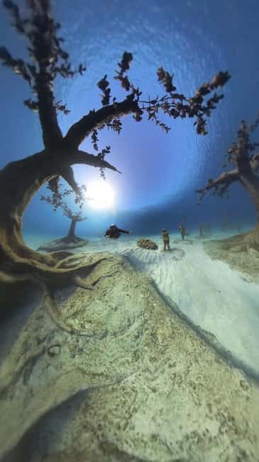 Ayia Napa: Musan Underwater Museum Scuba Dive - The Briefing and Gear Check: What You’ll Do Before You Enter