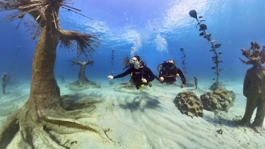 Ayia Napa: Musan Underwater Museum Scuba Dive - Timing, Comfort, and Conditions You Should Plan Around