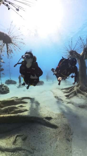 Ayia Napa: Musan Underwater Museum Scuba Dive - Ayia Napa Pickup to the Water Site: Comfort First, Then Go