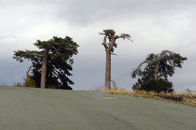 Beauty, Nature and Charm of Troodos Mountains from Paphos - Troodos from Paphos: a different side of Cyprus in 8 hours