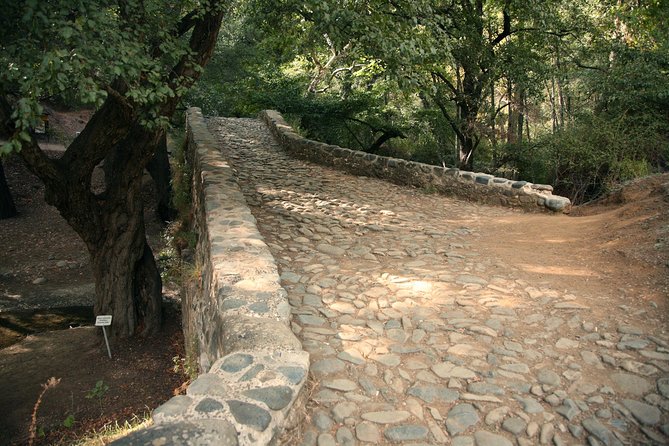 Beauty, Nature and Charm of Troodos Mountains from Paphos - How to dress and what to expect from the walk and roads