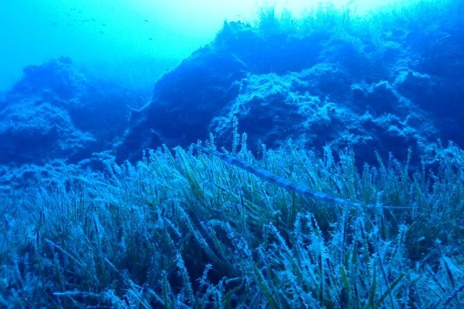 Beginners Discover Scuba Diving By Boat, Best Spot In Cyprus - The Team Matters: Patient Instructors and Captain Energy
