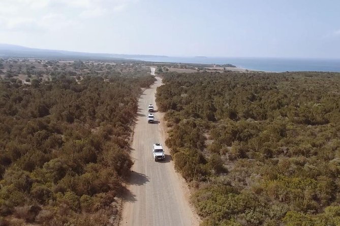 Cruise and 4X4 Safari Tour at Akamas Peninsula from Limassol - Baths of Aphrodite: Legend, Limestone, and a Calm 45 Minutes