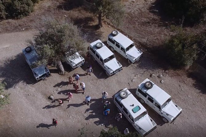 Cruise and 4X4 Safari Tour at Akamas Peninsula from Paphos - From Paphos to Akamas Peninsula by 4x4: what the day actually feels like