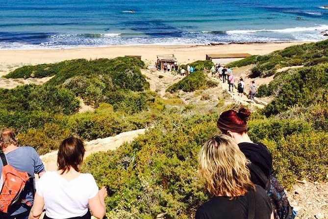 Cruise and 4X4 Safari Tour at Akamas Peninsula from Paphos - Lunch on the run: included, but quality can vary