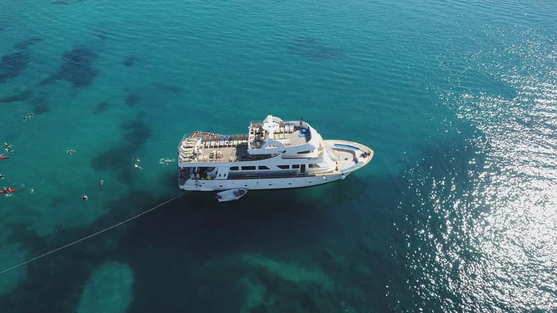 Cruise from Paphos Harbour to Blue Lagoon: All Inclusive - Peyia and Sea Caves: your first swim and the lunch stop