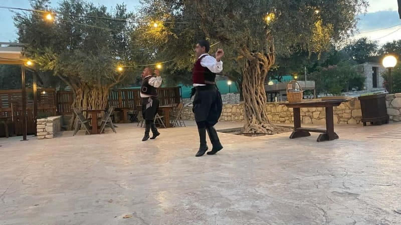 Cypriot Traditions and Donkey Adventures - The Farm Tour: Olive Tree, Wax Museum, and How Donkeys Fit the Story