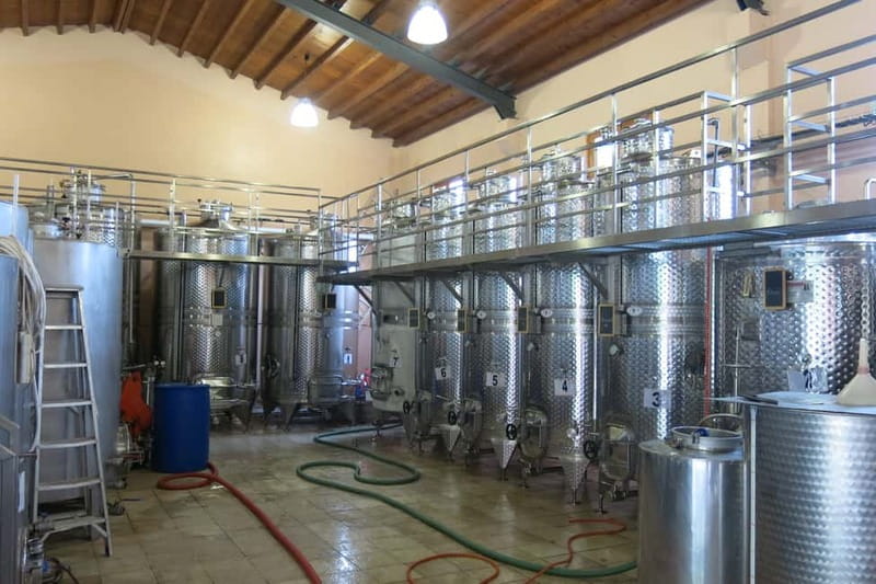 Cyprus: Troodos Mountain Wine Tour with a Local - Bonus Stop Surprises, Weather Gaps, and How Guides Manage the Day
