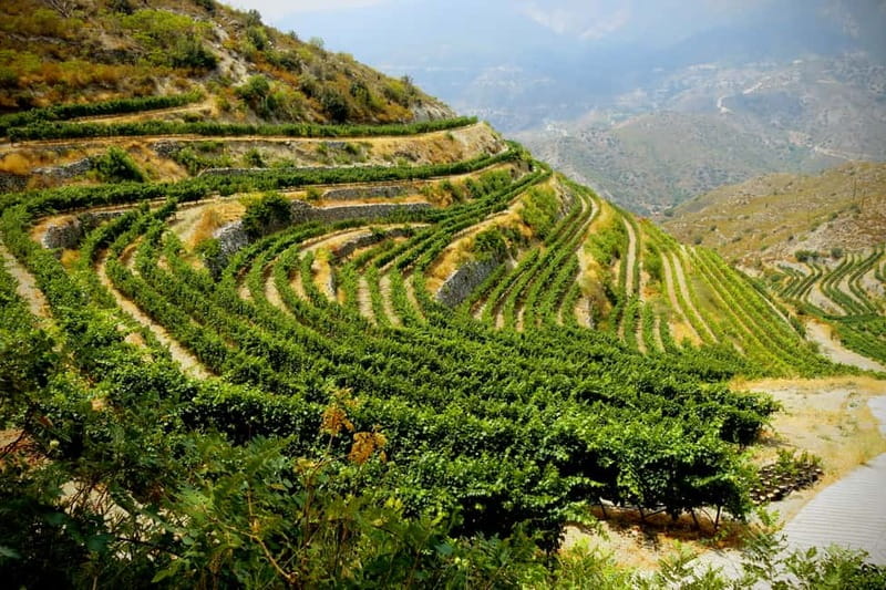 Cyprus: Troodos Mountain Wine Tour with a Local - The Road Trip Setup: Pickup, Timing, and Small-Group Comfort
