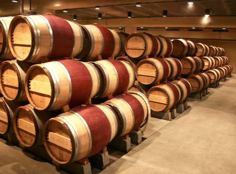 Cyprus: Troodos Mountains Villages and Wineries Tour - Pickup and timing: making the 8.5-hour day feel manageable