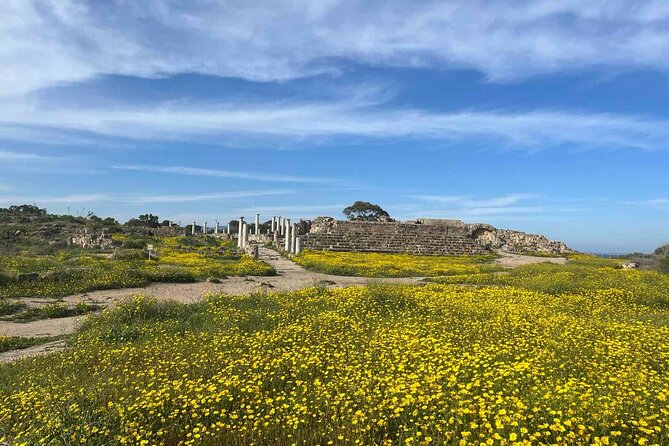 Day Tour to Famagusta, Ghost Town & Ancient Salamis - Strovilia Passport Check: Don’t Forget Your Paperwork