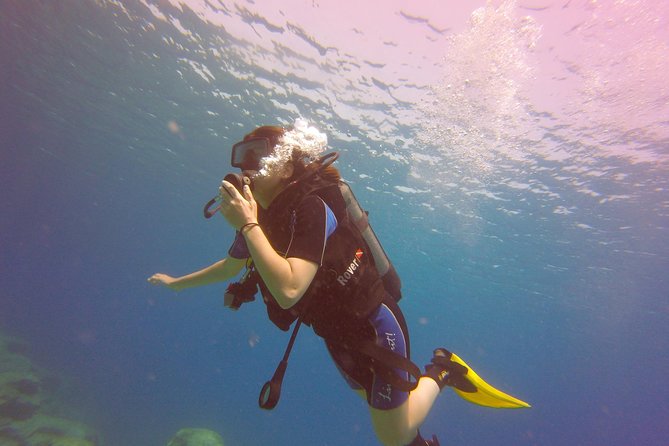 Discover Scuba diving - Your underwater route: Green Bay Beach and the statue garden