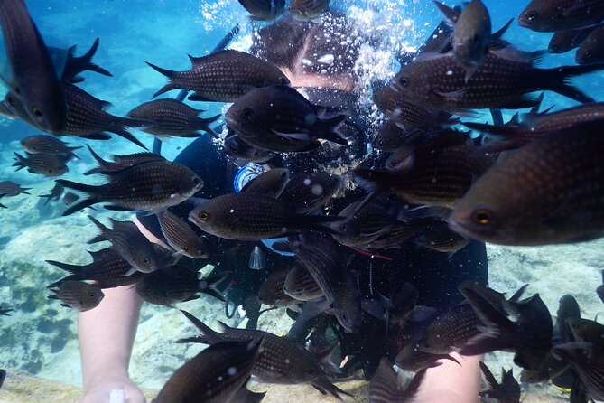 Discover Scuba Diving - Who This Experience Fits Best in Real Life