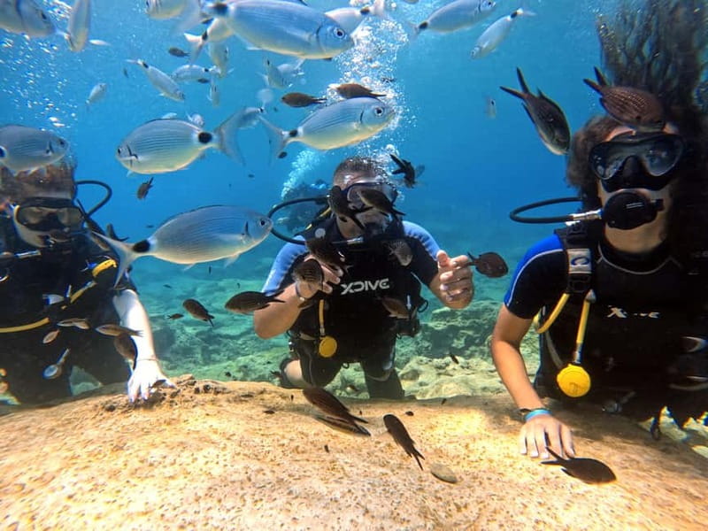 Discover Scuba Diving Experience - Key highlights you will actually care about