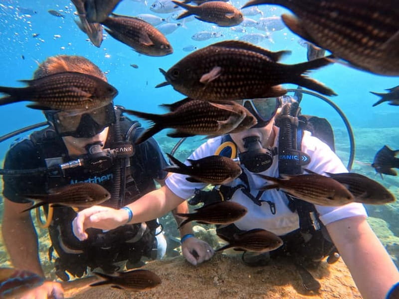 Discover Scuba Diving Experience - Entering Green Bay: why this route feels different