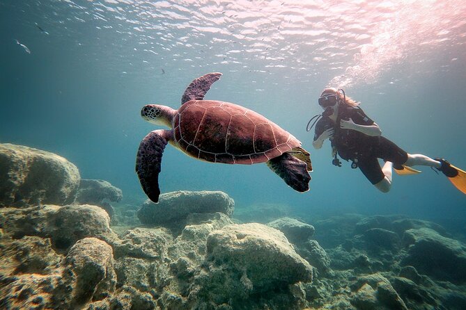 Discover Scuba Diving for Beginners - Getting there: meeting point, pickup option, and timing