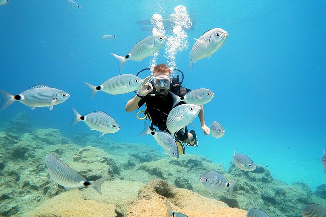 Discover Scuba Diving for Beginners - What you get from the small group setup (and why it matters)