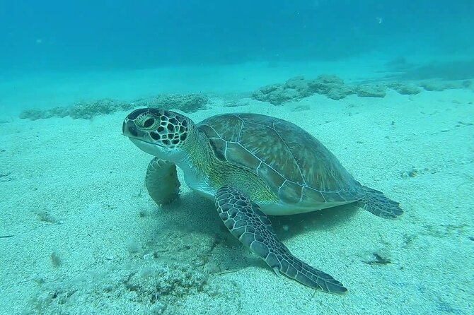 Discover SCUBA Diving with Pissouri Bay Divers - How the 4-hour Discover SCUBA session in Limassol really works