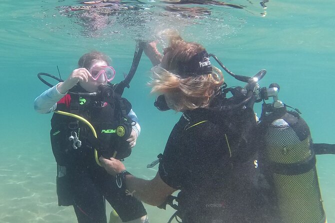 Discover SCUBA Diving with Pissouri Bay Divers - The sea portion: up to an hour of weightlessness and marine life