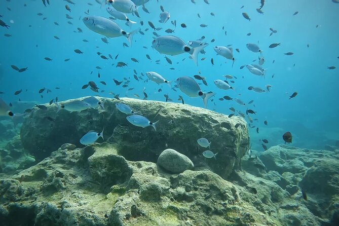 Discover SCUBA Diving with Pissouri Bay Divers - Pickup, small groups, and why group size matters for first-timers