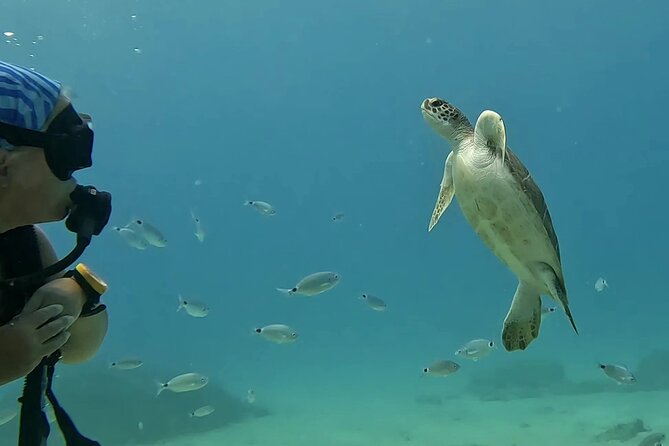 Discover SCUBA Diving with Pissouri Bay Divers - Price and value: what $145.18 buys you in real terms