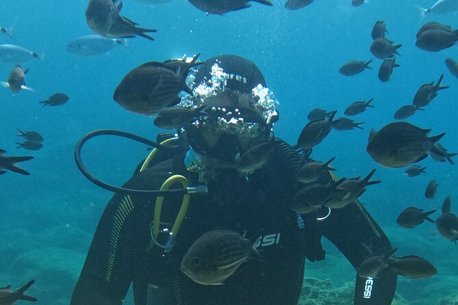 Dive The Rock (Scuba Diving Experience in Protaras) - Key highlights that make this Protaras scuba plan work
