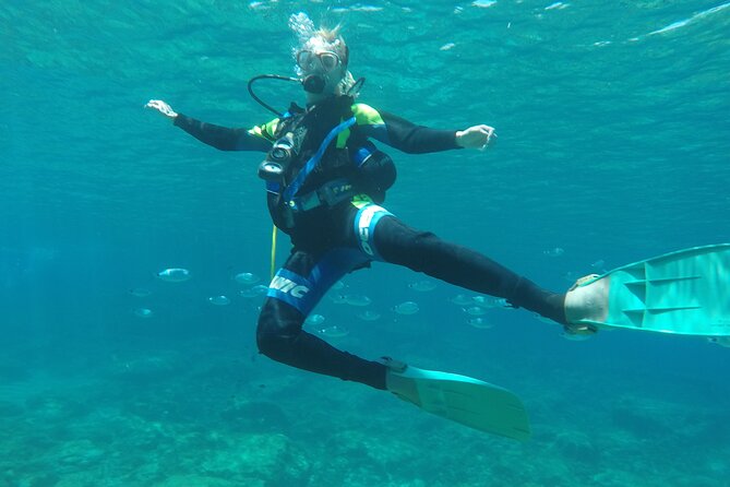 Dive The Rock (Scuba Diving Experience in Protaras) - Fish feeding and turtle time: what it means for your visit
