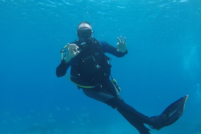 Dive The Rock (Scuba Diving Experience in Protaras) - Price and what you actually get for around $102