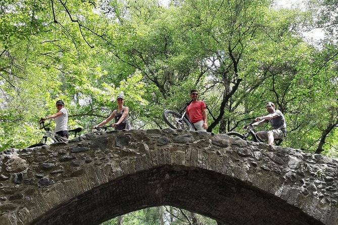 Explore Paphos forest with e-mountain bikes - Key highlights worth planning for