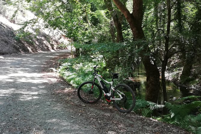 Explore Paphos forest with e-mountain bikes - Paphos Forest riding: what the Platys River Valley experience feels like