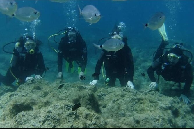 First Time Scuba Dive Adventure, Makronissos, Ayia Napa - The 2.5-Hour Game Plan: Theory, Shallow Practice, Then Up to 10 Meters