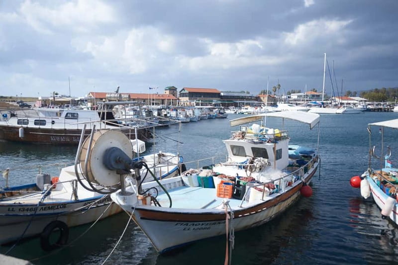 From Ayia Napa & Protaras: Kourion Tour and Paphos Town - Paphos Harbor Break: Bars, Restaurants, and Time to Reset