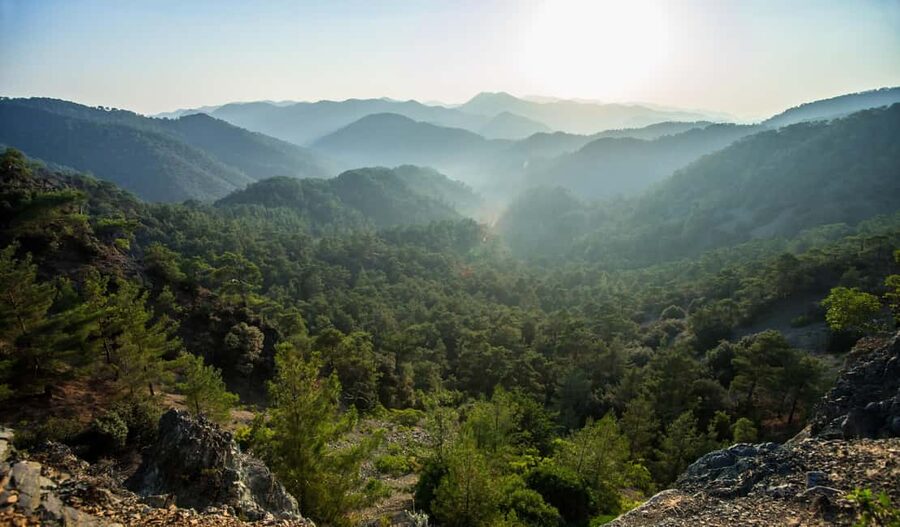 FROM LARNACA/AYIA NAPA/PROTARAS: Nicosia, Troodos &Limassol - Who should book this Nicosia, Troodos, and Limassol loop
