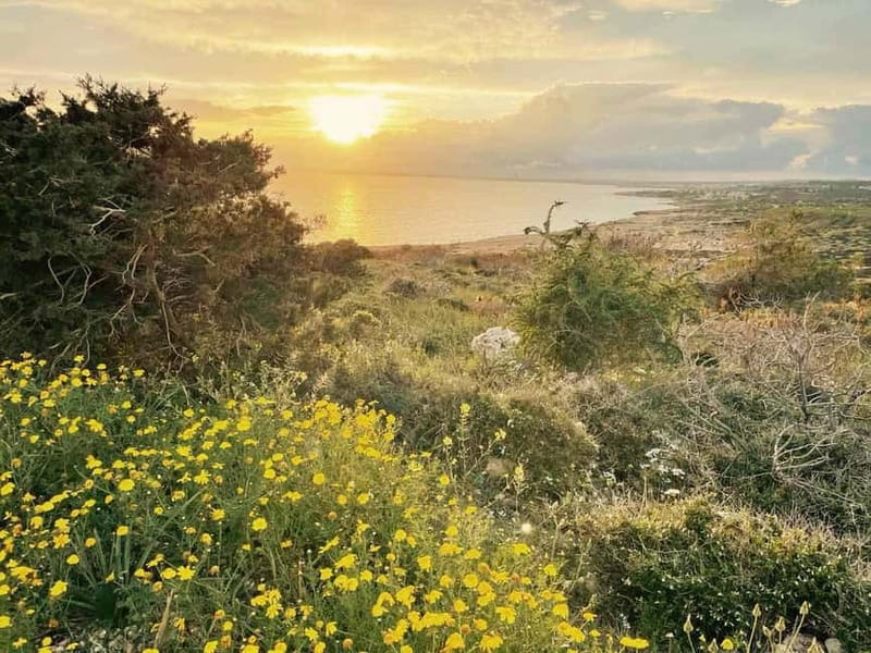 From Larnaca: Cape Greko Guided Tour with Transfers - Stop 2: Bridge of Lovers, a Short Walk With Real Payoff