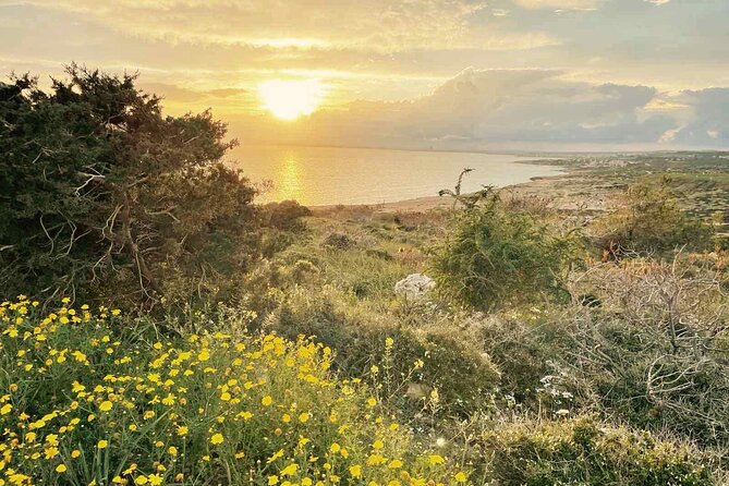 From Larnaca - Cape Greko Highlights Tour (Group of 5 People) - Sergo’s Small-Group Style and Pickup Setup That Saves Your Day