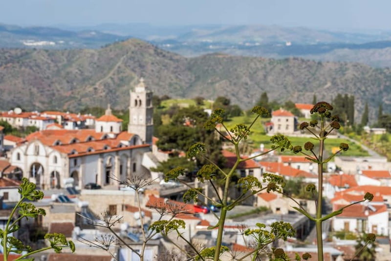 From Limassol: Grand Tour Jeep Safari - Winery tasting in a local setting: samples included, purchases optional