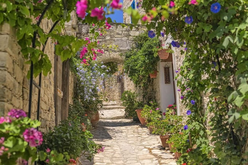 From Pafos/Limassol: Tastes of Cyprus Tour in Polish - Key highlights you should care about